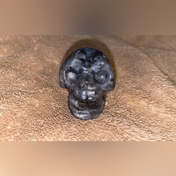 Skull party - Picture 8 of 11